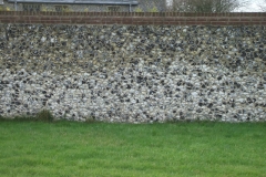 2008_0127Image0018_fs