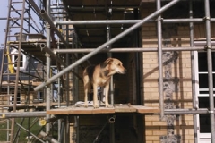 SP_A0016_fs